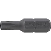 Premium-Bit mit Kopfloch TX 1/4