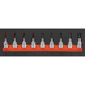 Hartschaumeinlage mit Innen-TX Steckschlüsseleinsätzen, 9-teilig