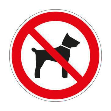 Verbotsschild, Mitführen v. Hunden verboten, Wandschild, Alu, Standard