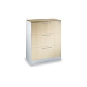 Hängeregistraturschrank, HxBxT 1010x800x435mm, 3 HR-Auszüge, zweibahnig