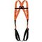BODY HARNESS BASIC 2 POINTS