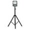 SMART FLOODLIGHT 50W 