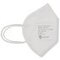 Fine Dusk Mask FFP2 Earloop 2 