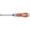 SCR.DR.STEELC. PH 2x100 P