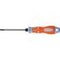 SCR.DR.STEELC. TX25x100 P