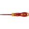 SCR.DR. VDE R-TX 20x80