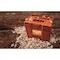 BTI Azubi Box Holz