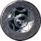 DoTec-BS, blau verzinkt, 3,5 x 16, TX20 Beschlagschraube, DoTec, Do Tec, Detail Kopfansicht Torx Torxantrieb Innenvielzahn