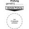 Grundplakette, Prüfung gemäß §/nächste Prüfung, Aufkleber, HxB 95x40mm