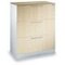 Hängeregistraturschrank, HxBxT 1010x800x435mm, 3 HR-Auszüge, zweibahnig