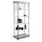 Standvitrine,HxBxT 1800x850x450mm,4xGlasboden,Flügeltür,ESG,Profil silber