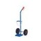 Flaschenkarre, Tragl. 100kg, 1x20/50l Flasche, m. Kette, RAL5007
