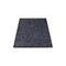 Waschbare Schmutzfangmatte, f. innen/außen, LxB 900x600mm, grau