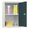 Wandschrank, HxBxT 600x400x300mm, Flügeltür, RAL7035, Front RAL7016