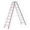Stufenstehleiter,beidseitig,2x9 Stufen,Stand H 1,61m,Holm L 2,28m,Alu