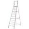 Plattformleiter, Podest HxBxT 2800x440x400mm, 12 Stufen, Alu, klappbar
