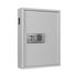 Schlüsselschrank, 120 Haken, HxBxT 630x460x130mm, Korpus RAL7035