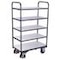ESD-Etagenwagen,Tragl. 250kg,5 Etage(n),Ladefl. LxB 985x490mm,Holzetage