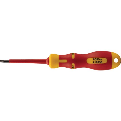 SCR.DR. VDE R-TX 25x80