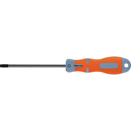 SCR.DR. TX 30x115 T