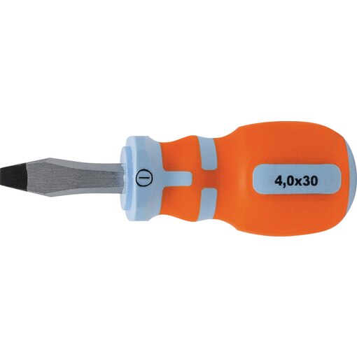 SCR.DR. SHORT SLOT 4,0x30 P