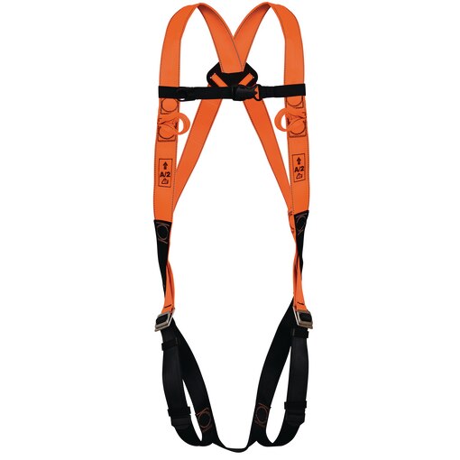 BODY HARNESS BASIC 2 POINTS