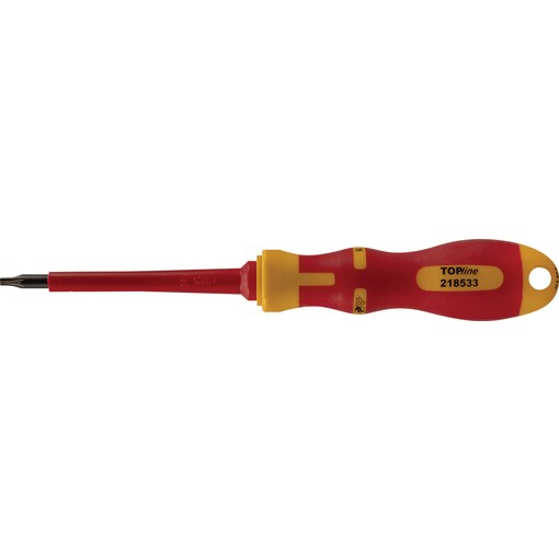 SCR.DR. VDE R-TX 10x80
