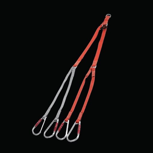 Abseilspinne