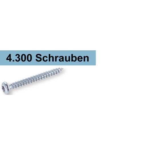 Set SPS Spanplattenschraube Pan Head Panhead TX