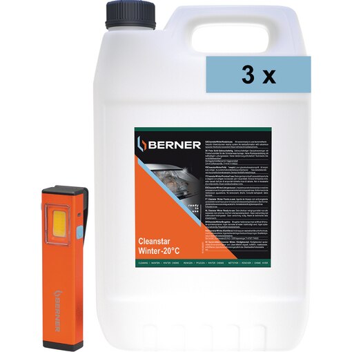 Cleanstar-Winter-Set gebrauchsfertig, Mini LED Handleuchte USB, Scheibenreiniger