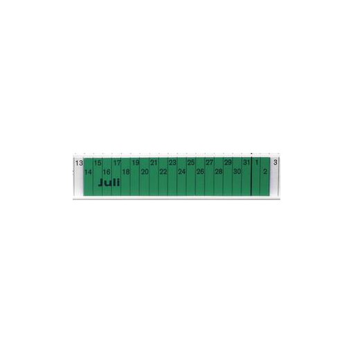 Einsteckschild, HxB 27x76mm, Kunststoff, grün transparent
