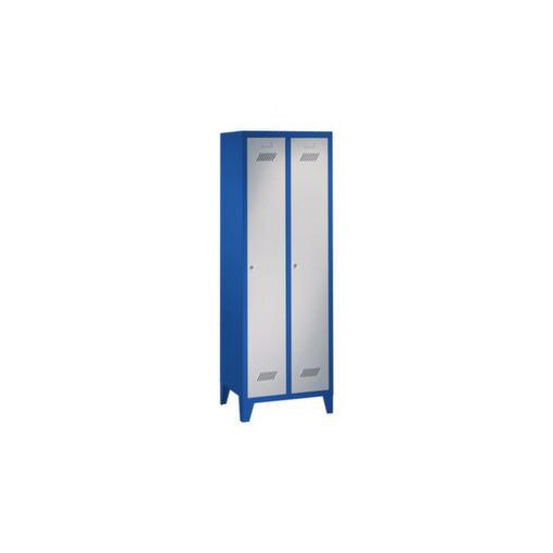 Abteilschrank, HxBxT 1850x600x500mm, 2 Abt., RAL7035, Front RAL5010