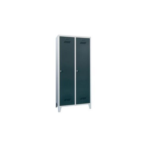 Abteilschrank, HxBxT 1850x800x500mm, 2 Abt., RAL7035, Front RAL7016